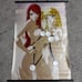 Fairy tail Erza and Lucy Wall Scroll