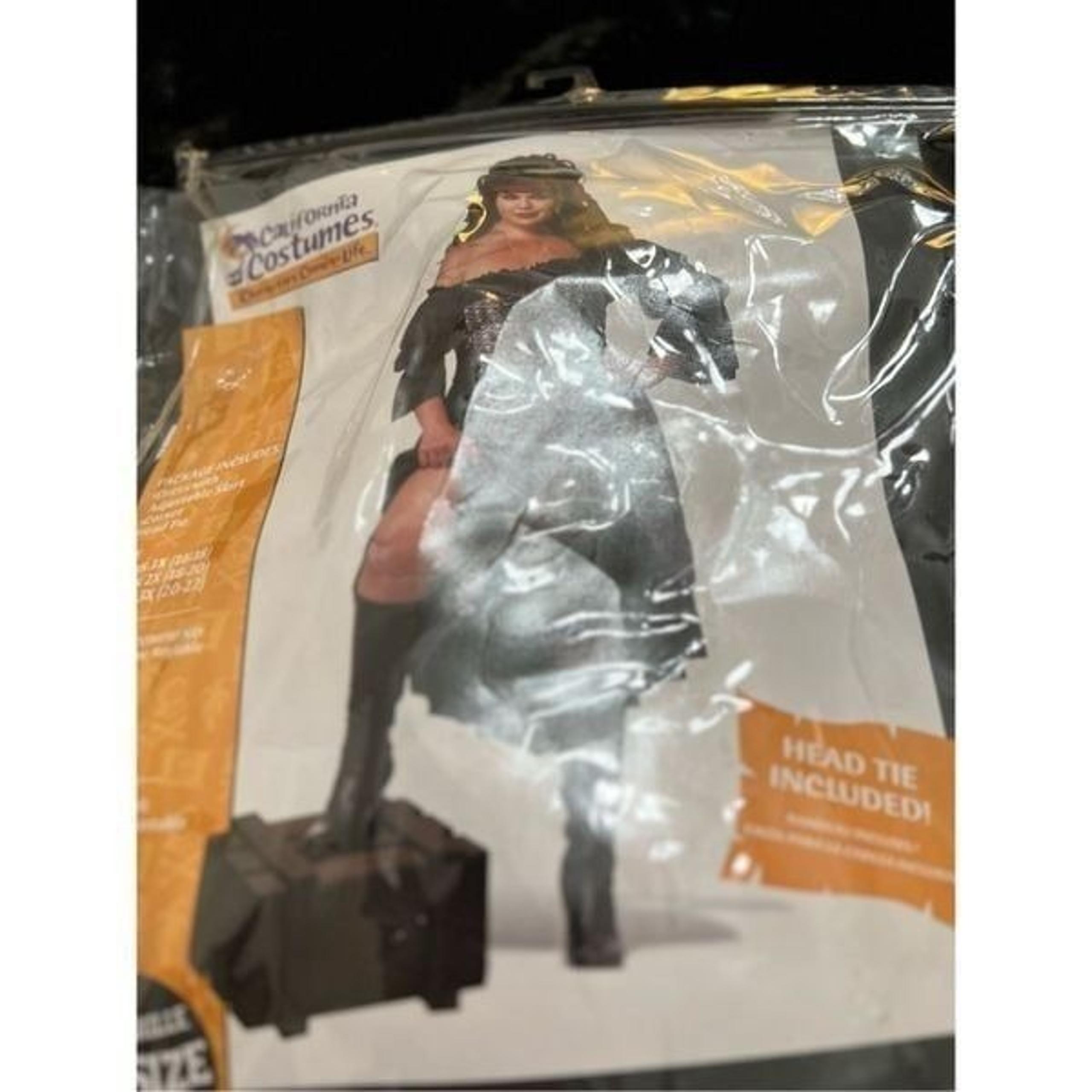 California Costume Pirate Wench Adult Women halloween outfit 01715 3x