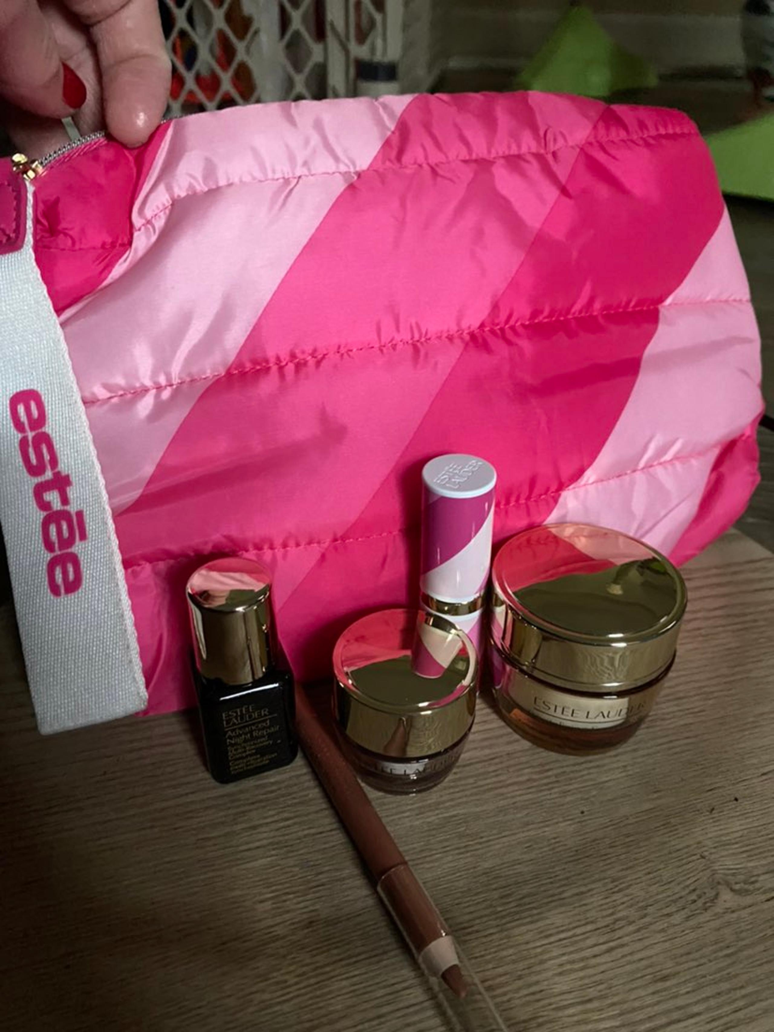 Estee Lauder zipper cosmetic bag and makeup set