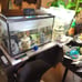 Aquarium ornament