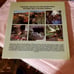Desert Southwest Gardens book