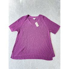 J Jill Short Sleeves Sweater Sz L NWT