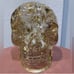 RARE Lucid Skull with Gold Flakes Head Sculpture Halloween