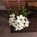 Homemade Floral Vase Decor