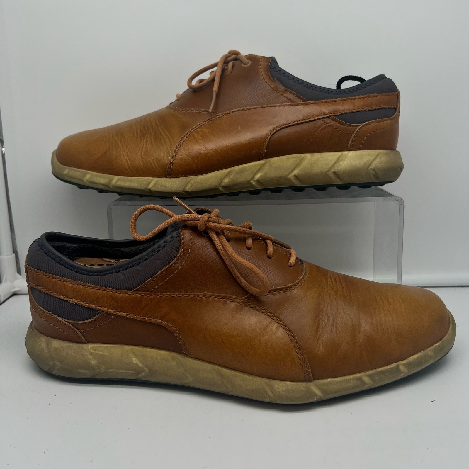 Puma Shoes Mens 9.5 Ignite Brown Spikeless Golf Sneaker 188663 02