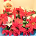 Handmade Floral Centerpiece Artificial Poinsettia Red Winter Table Decoration