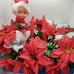 Handmade Floral Centerpiece Artificial Poinsettia Red Winter Table Decoration