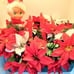 Handmade Floral Centerpiece Artificial Poinsettia Red Winter Table Decoration