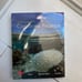McGraw Hill Fundamentals of Corporate Finance 13th Edition by Ross et al