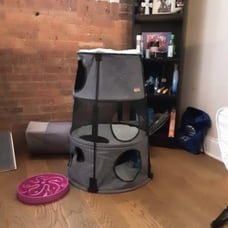Kitty Tower Cat Furniture, Classy Gray