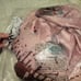 Girls Prom Queen Headless Costume