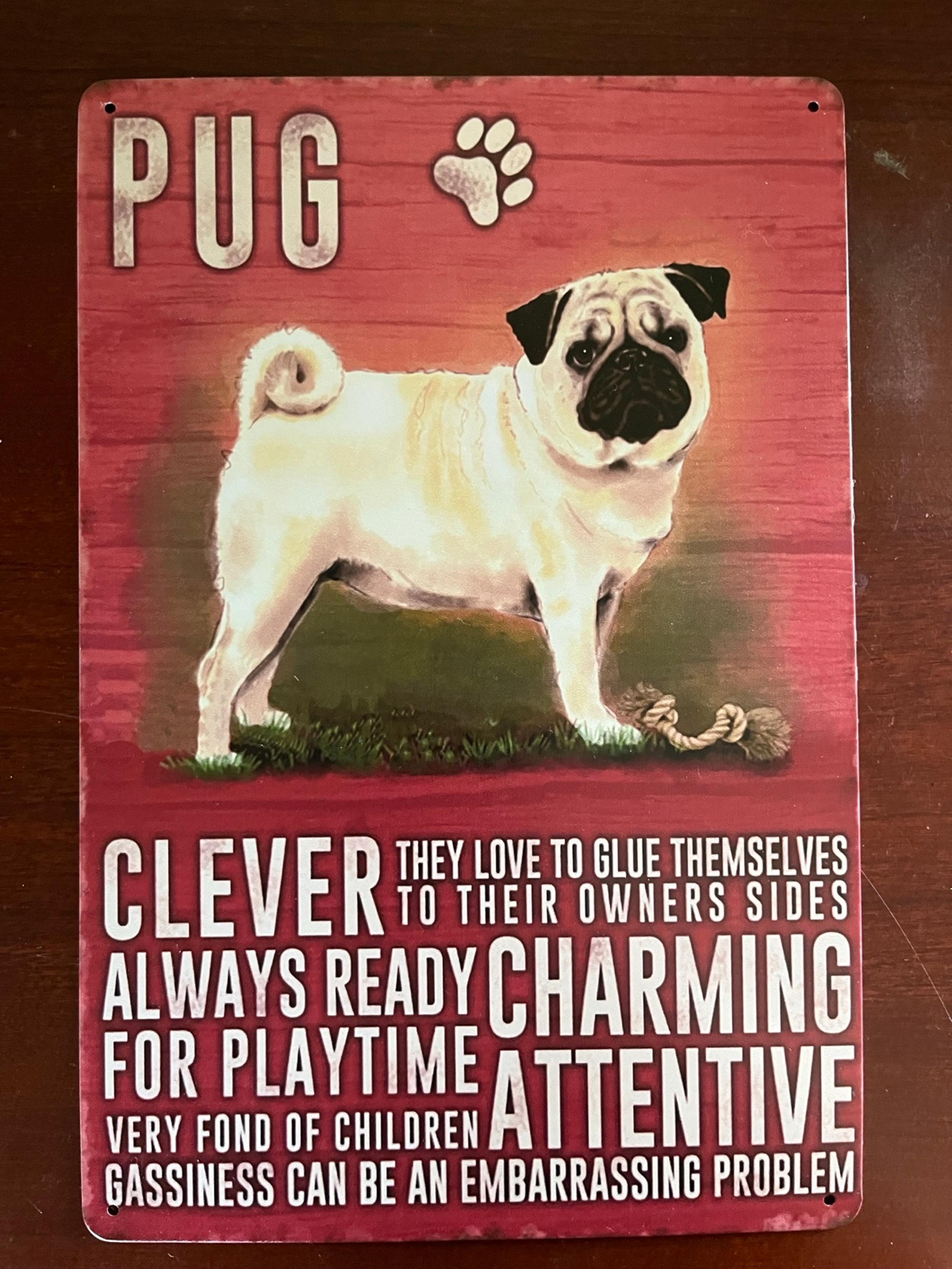 Pug Wall hanging 8 x 12 Easy to hang Tin Wall hanging Metal Walling Hanging