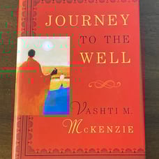 Signed Journey to the Well by Vashti M. McKenzie (hardcover, 2002)