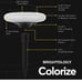Colorize Solar Outdoor Lights