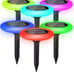 Colorize Solar Outdoor Lights