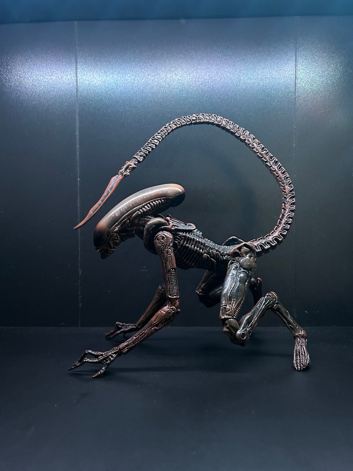 Neca dog alien action figure
