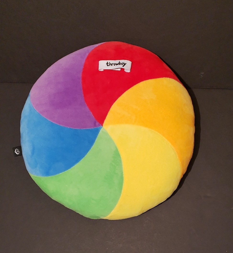 Throwboy Spinning Wheel Of Death Pillow