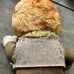 Ginger Cowgirl Rare 1930-40's Gund Cowgirl Doll Hand Painted. With Vest. “12”