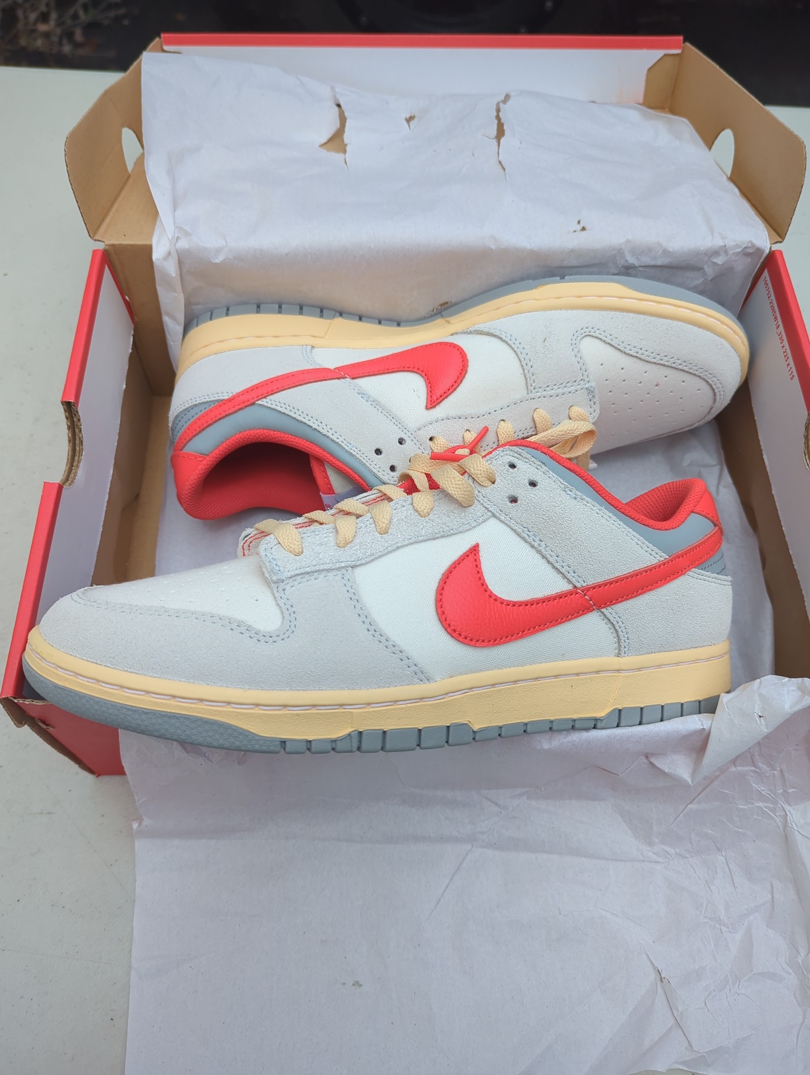 Nike Dunk Low Retro - Athletic Department- Men's Size 10.5 ( FJ5429-133 )