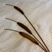 Vintage Cat Tail P Willow Wall Decor by Home Interior Lg and Sm Set of 2