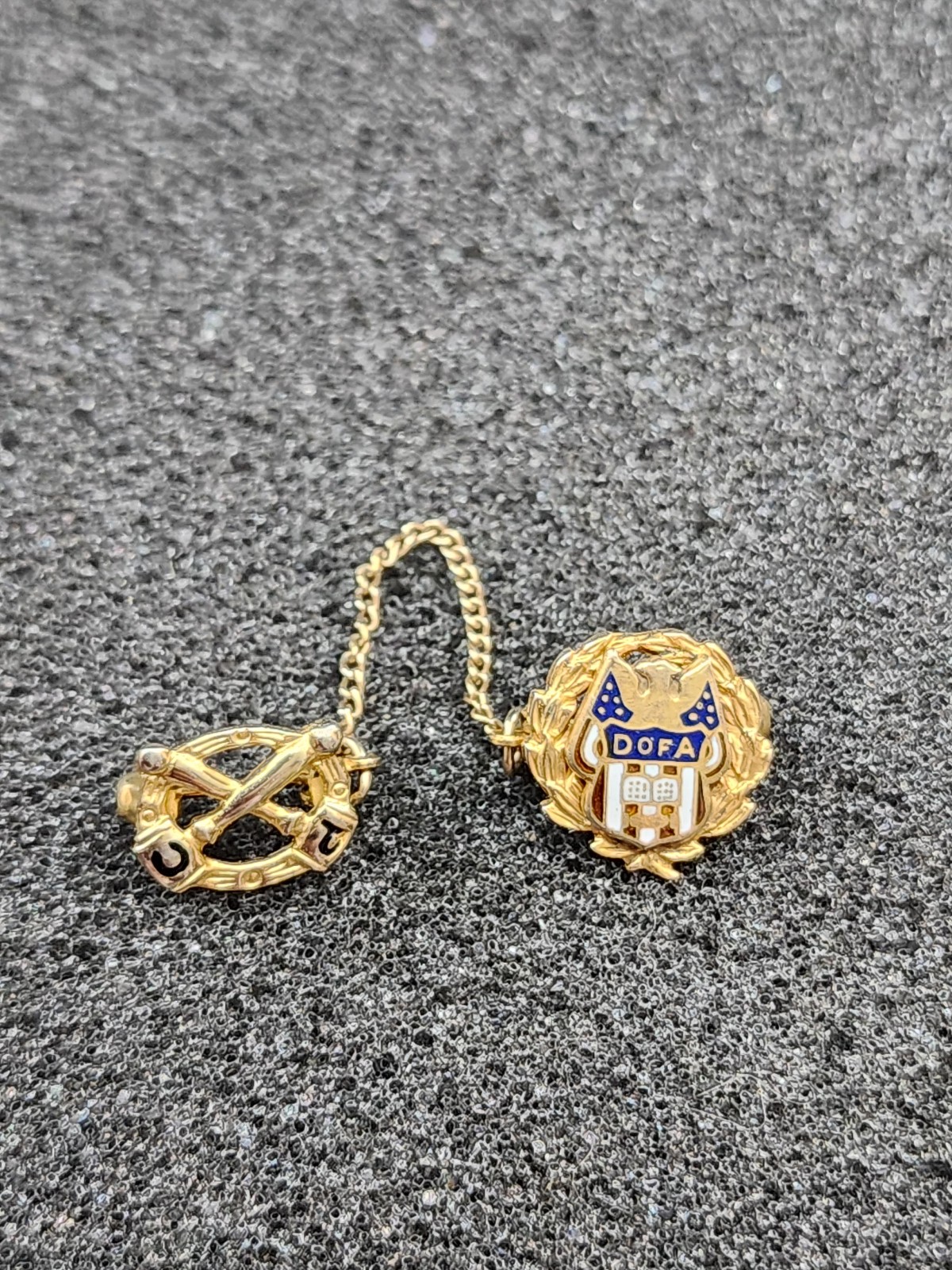 VTG Rare Daughters of America DofA 12K Gold 2-Pin Set Emblem Red/White/Blue/Gold