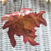 Metal Sculpture Wall Art Leaves and Branch Brass Copper and Steel Artisan Design