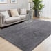 Fluffy Shag Area Rug, 4x6 Grey Rugs for Bedroom, Soft Plush Area Rugs