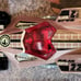 Hot Wheels AcceleRacers: Racing Drones RD-06 / 2009 Color Shifters