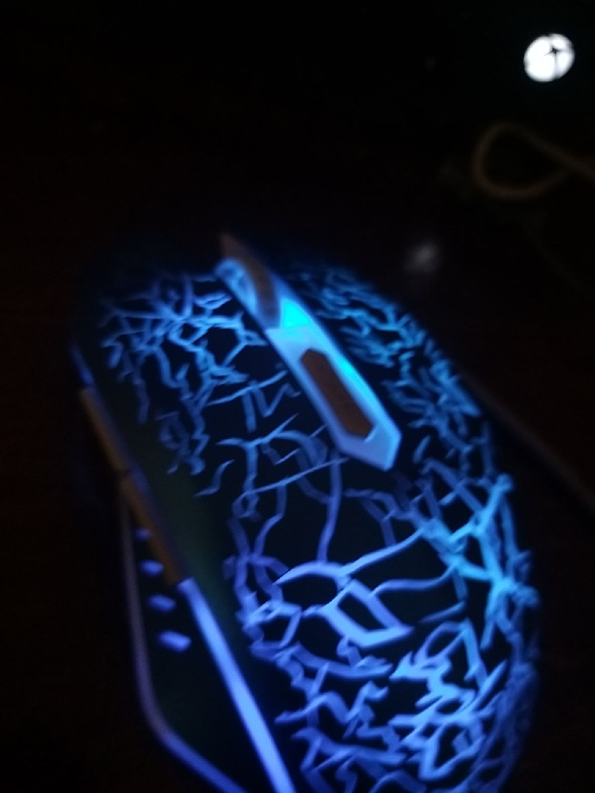 Mouse