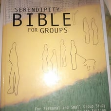 Serendipity bible for groups hardback used fourth edition