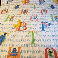 90s Vintage Sesame Street twin comforter
