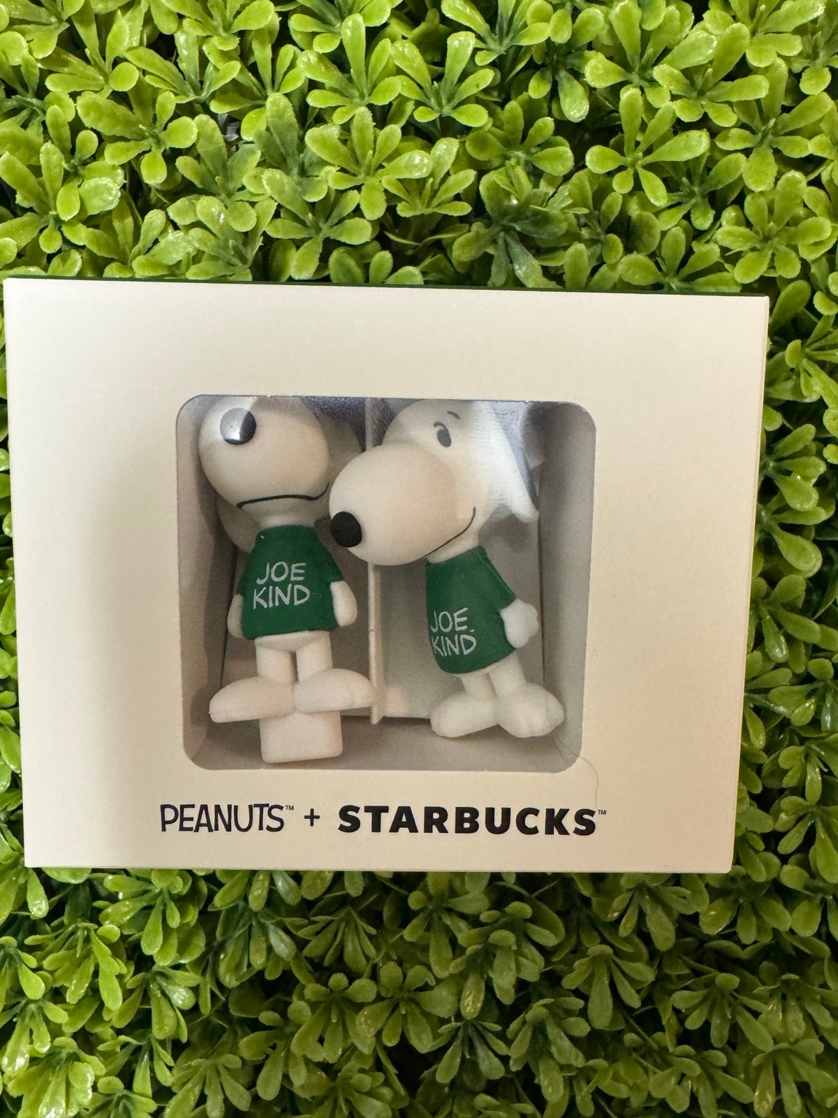 Mexico Peanuts + Starbucks stopper set
