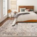 39X55 IN Soft Fluffy Dove Velvet Area Rugs SIO5