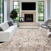 39X55 IN Soft Fluffy Dove Velvet Area Rugs SIO5