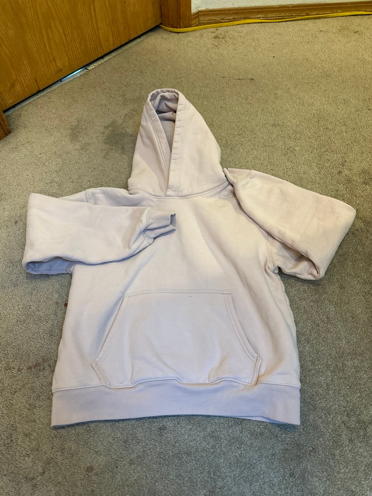 Aritzia Hoodie