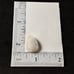 White Rainbow moonstone Pears Shape Cabochon-WRL-43-7