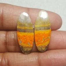 BumbleBee Jasper Natural Gemstone Cab