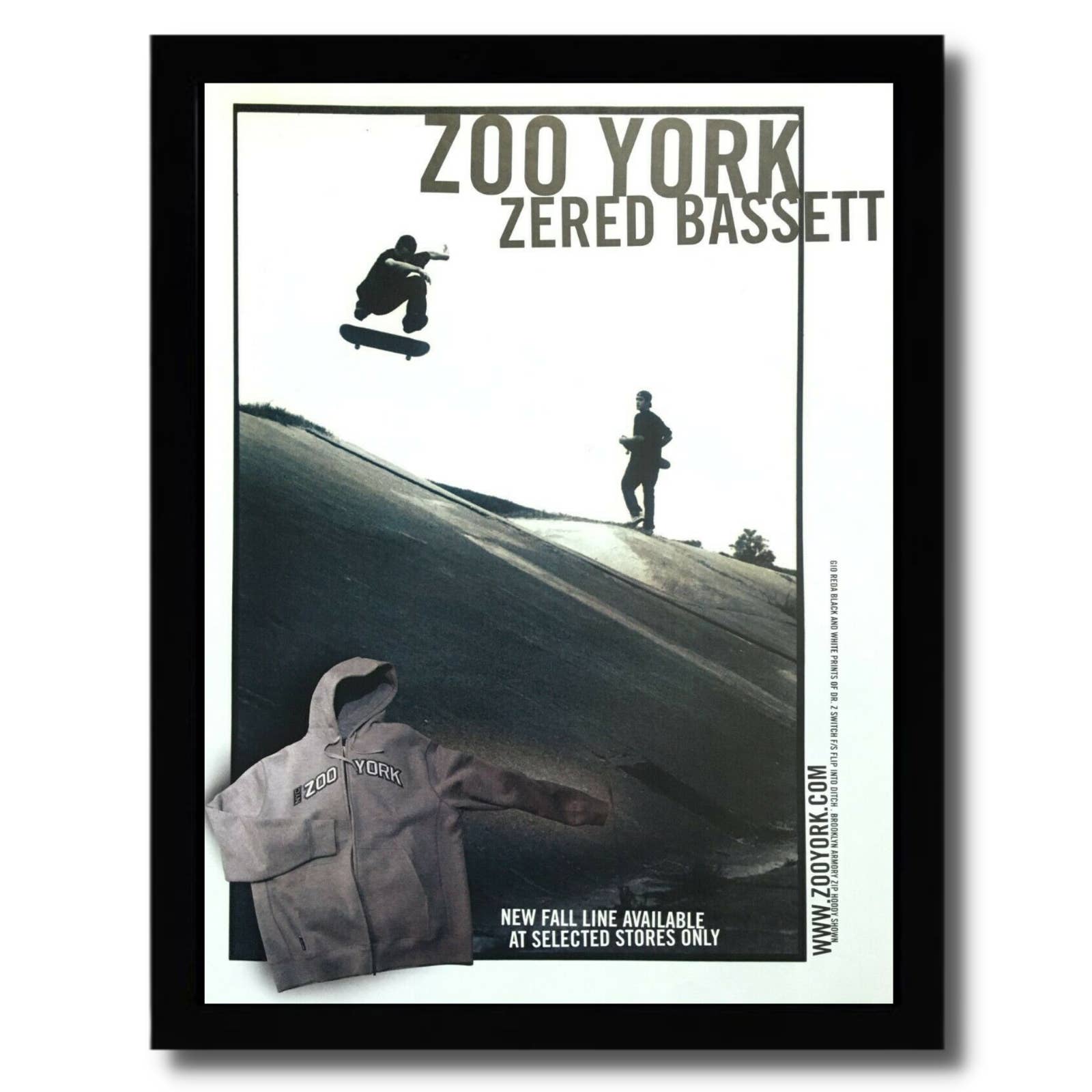 2002 Zered Bassett ZOO YORK Framed Print Ad/Poster Switch F/S Flip Skateboarding