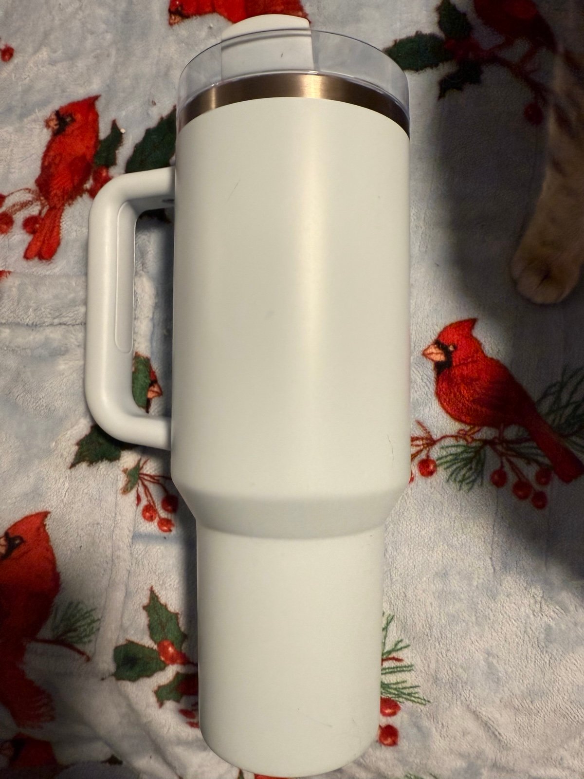 Stanley x Starbucks Spring Blue Quencher 40oz Tumbler.