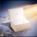 Dior BEAUTY GOLD EMBOSSED jewelry box
