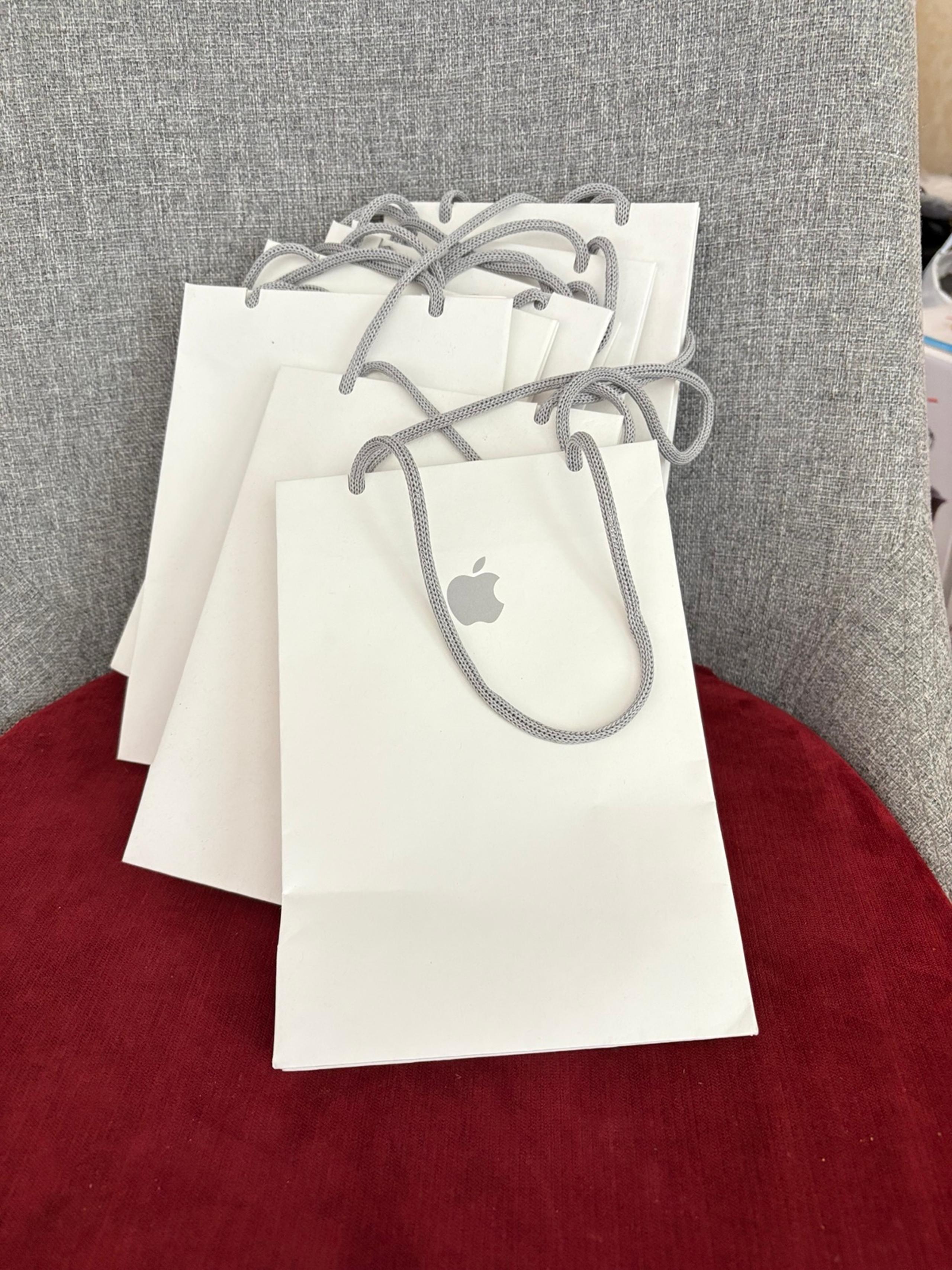 7 Small Apple Store Gift Bags