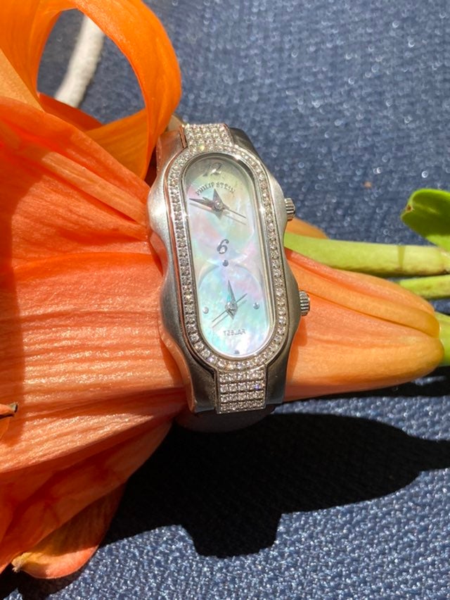 Phillip Stein diamond watch!