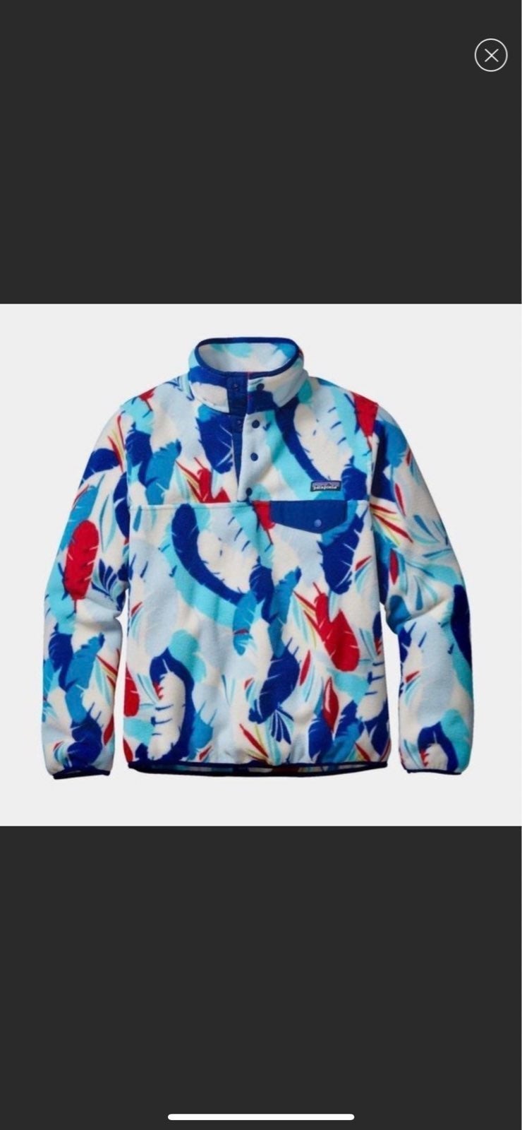 Patagonia Synchilla