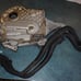 JEEP LIBERTY 3.7L V-6 TIMING COVER 53021227AA - FAST SHIPPING!