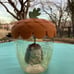 Starbucks Hedgehog Acorn Mug