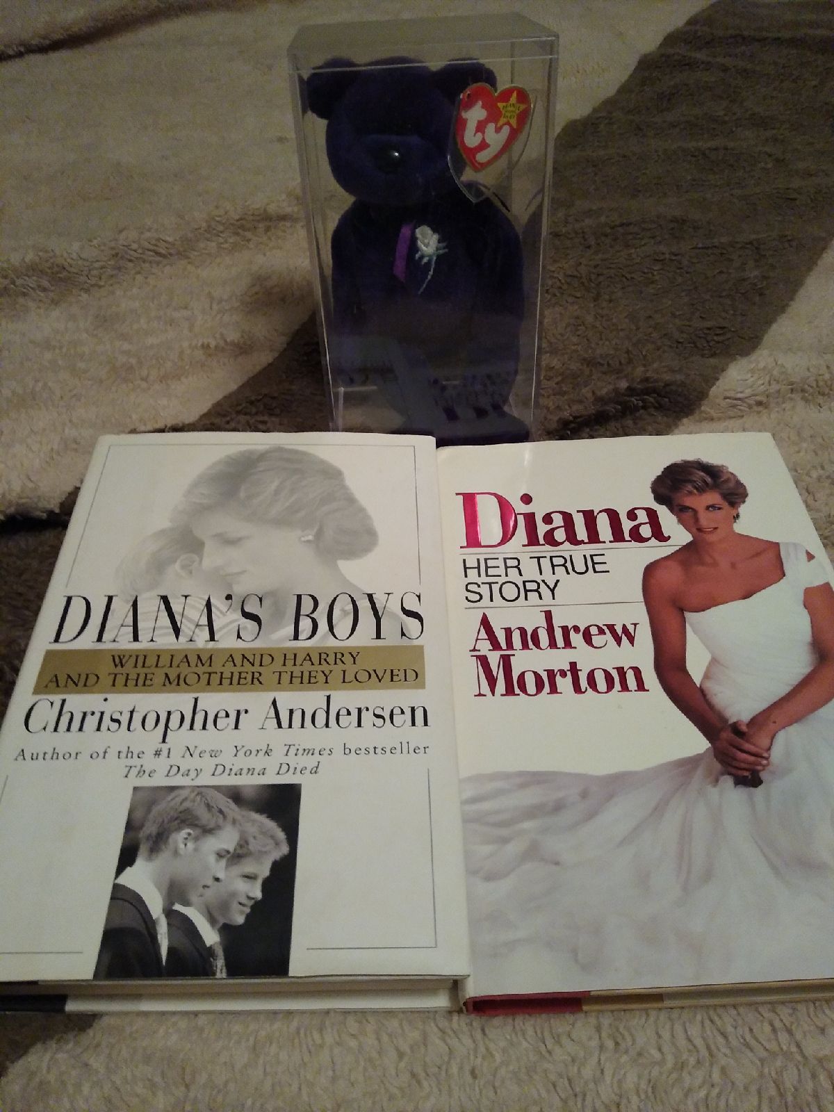 Princess Diana books and beanie baby