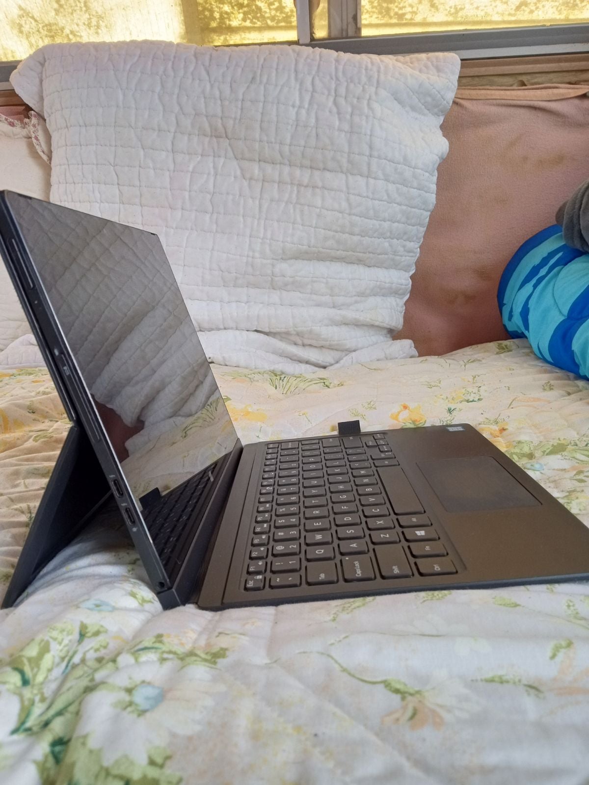 Dell pro windows 11