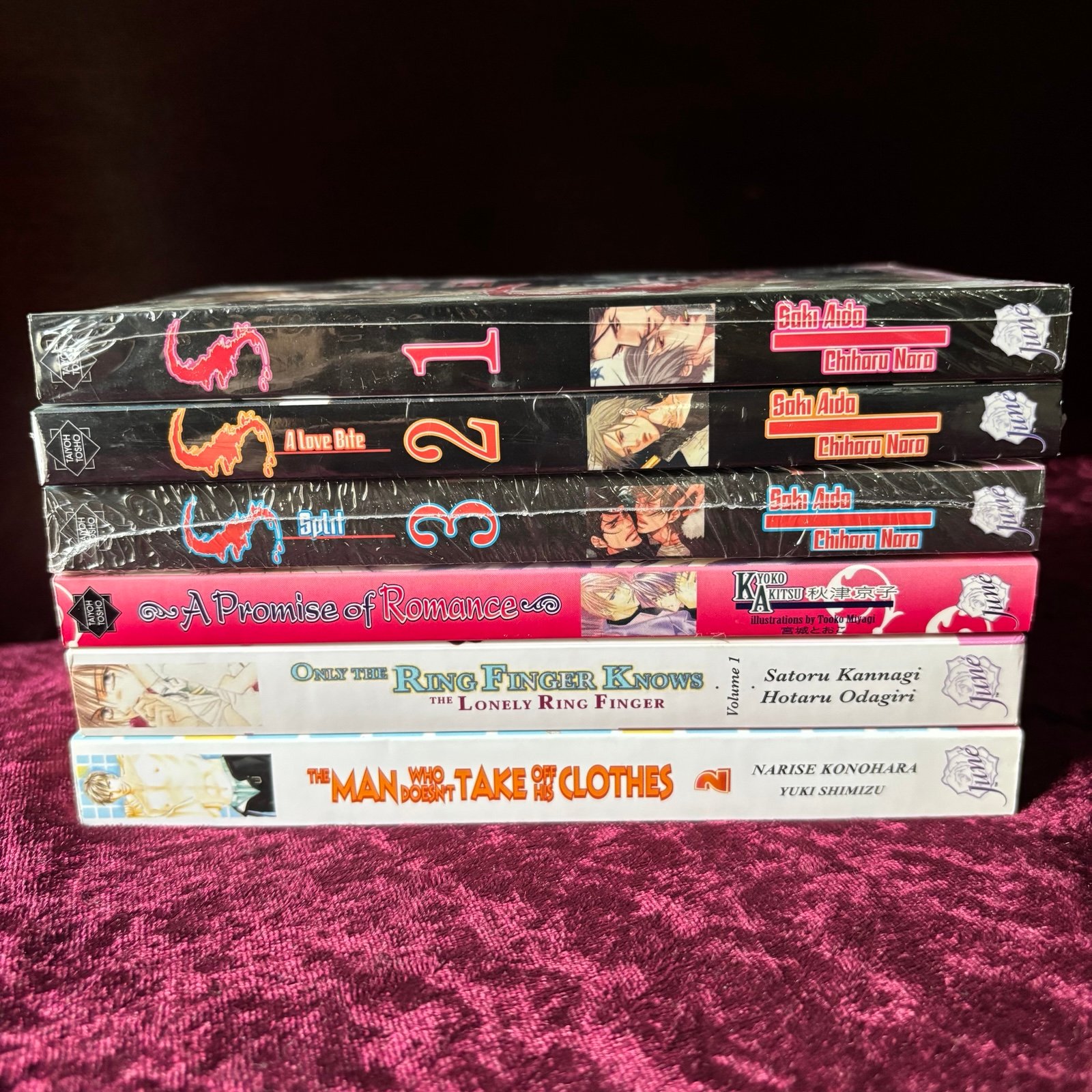 Yaoi novel lot