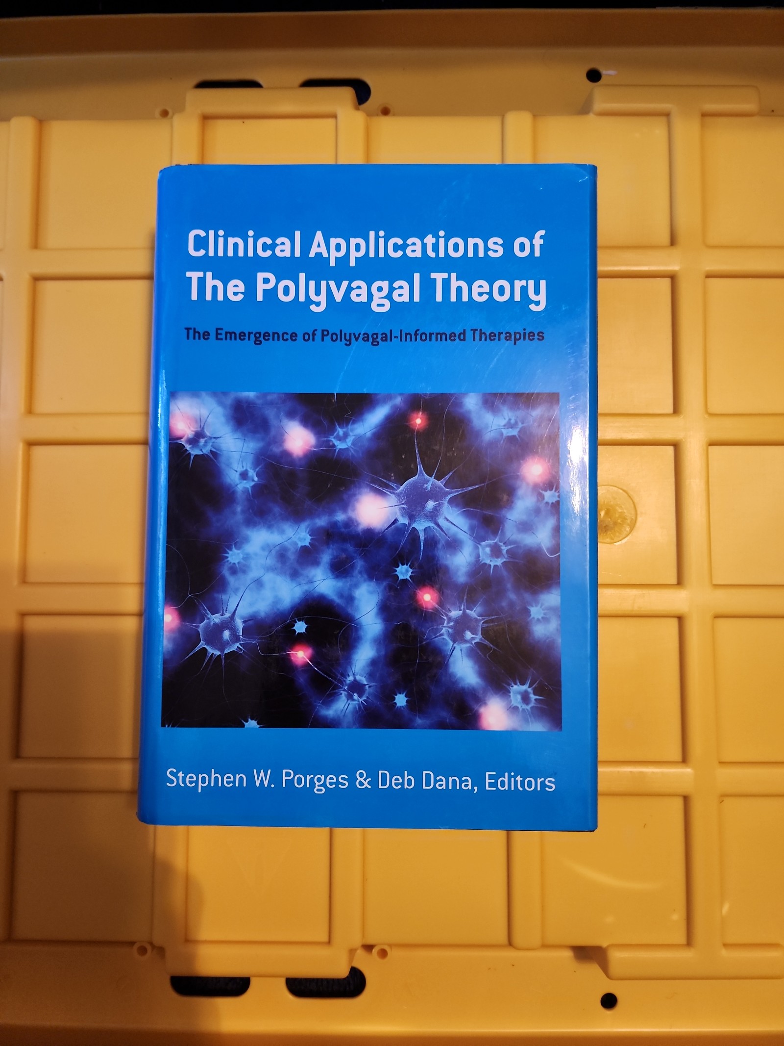 Clinical Applications of The Polyvagal Theory