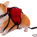JXK Studio 1/6 Scale Welsh Corgi Pembroke C Resin Figurine New in Box